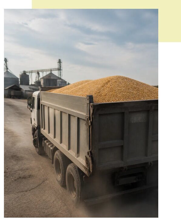 Перевозка сельхозпродукции навалом в Тольятти по цене от 3103 р. | Агросервис-Тля